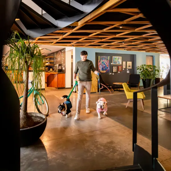 Dog Friendly Hotel B Urban Xaman Ciudad de México Dog Friendly Hotel B Urban Xaman Ciudad de México