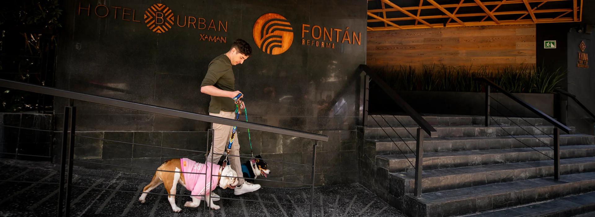 Hotel B Urban Xaman Ciudad de México Hotel B Urban Xaman Ciudad de México