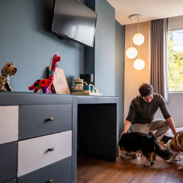 Dog Friendly Hotel B Urban Xaman Ciudad de México Dog Friendly Hotel B Urban Xaman Ciudad de México